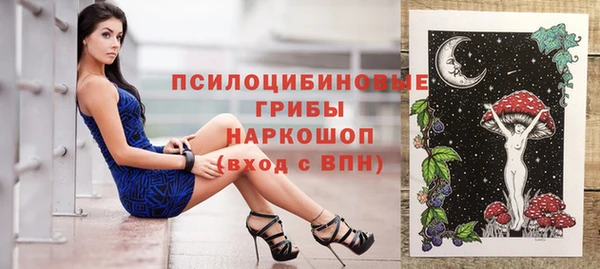 ПСИЛОЦИБИНОВЫЕ ГРИБЫ Карпинск