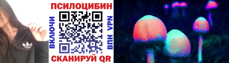 Галлюциногенные грибы Cubensis Шагонар